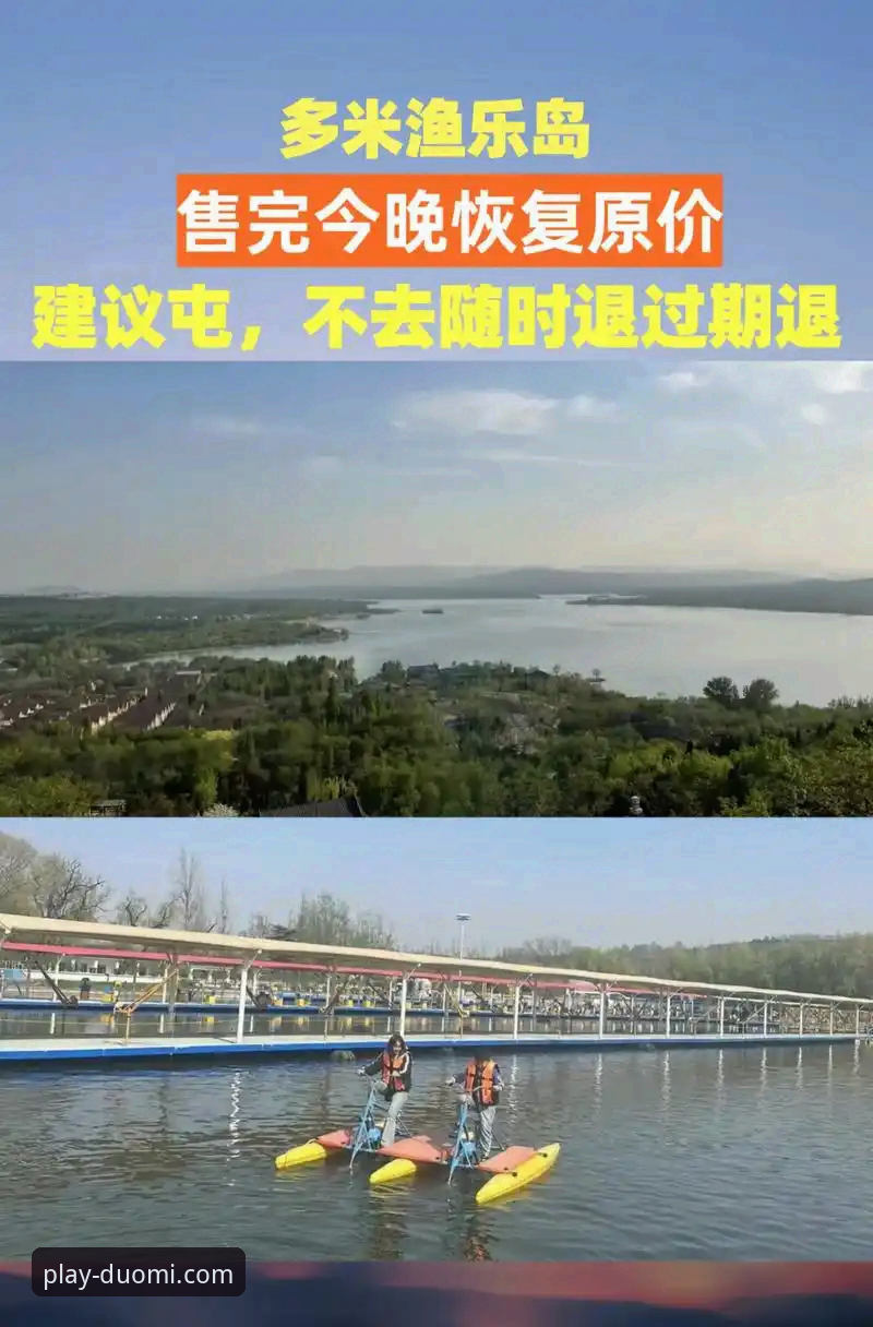 3个关键维度解析多米体育平台：从直播体验到赛事分析的全面评测
